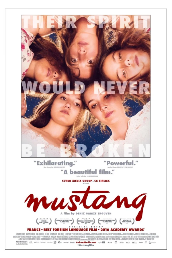 Mustang Poster