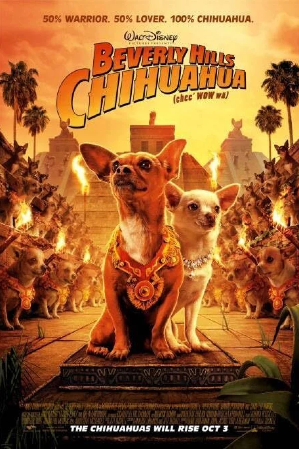 Beverly Hills Chihuahua Poster